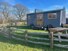 Whittlewood Shepherd's Hut in Silverstone, Cosy, Rural, Views